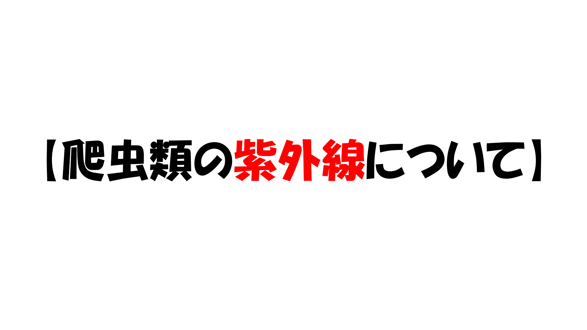 爬虫類の各生体における紫外線について トカゲ ヘビ カメ ヤモリ 51base