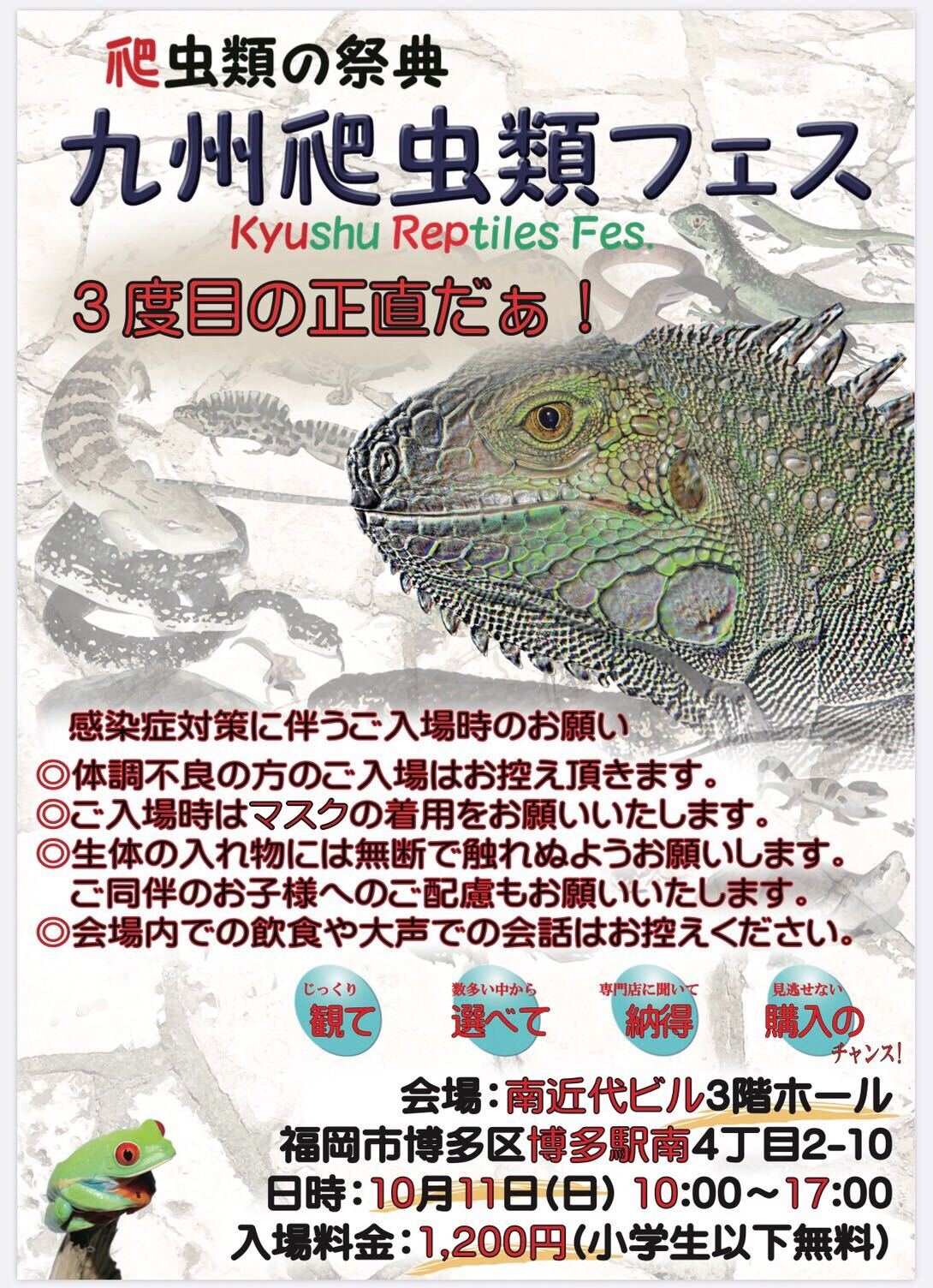 おすすめの爬虫類イベント 6選 21年に開催の爬虫類イベント 予定 51base