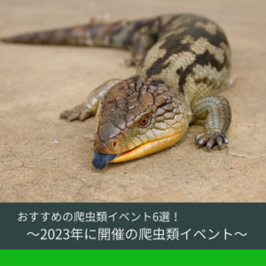 2023年に開催の爬虫類イベント